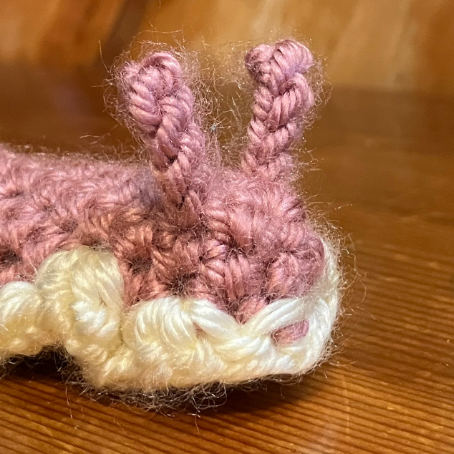 Knot-ical Nudibranchs 2 - logo